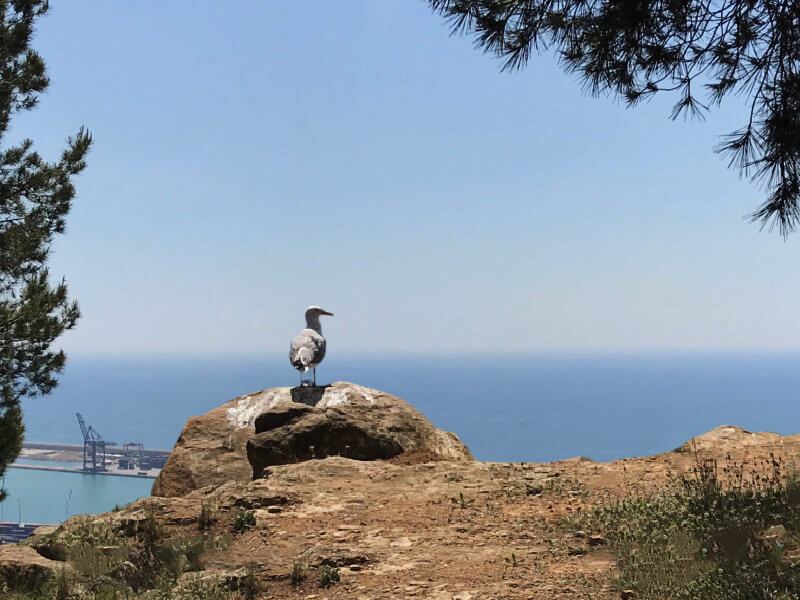 actu 2003 activite continue