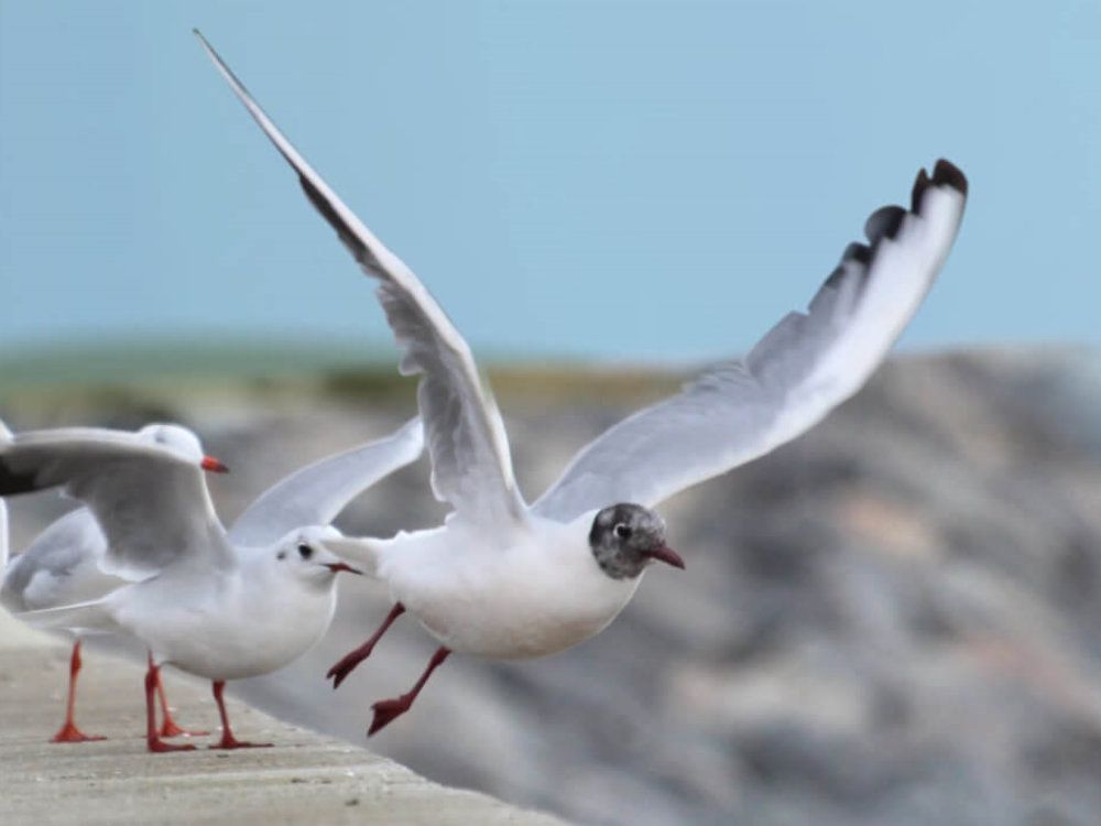 Taxe d'apprentissage 2020 :du nouveau en 2020